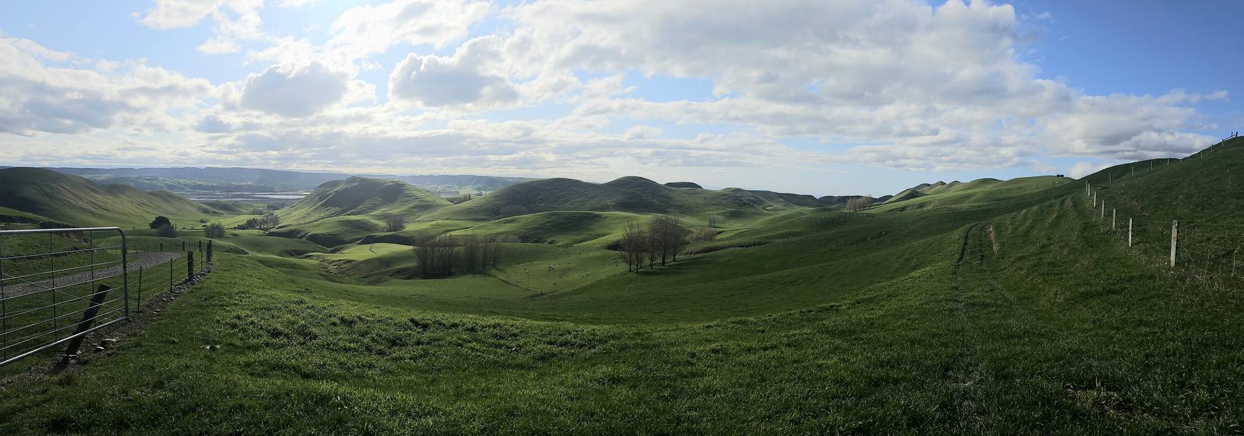 Hill country, Hawke's Bay